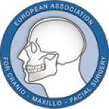 skullpture-affiliations-eacmfs